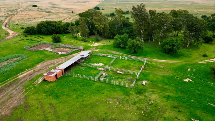 8 Bedroom Property for Sale in Bloemfontein Rural Free State